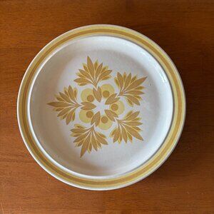 Vintage Mid Century Omegastone Dinner Plate/platter Royal China 12 Inches B1.00
